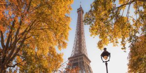 The iconic Eiffel Tower framed by vibrant autumnal foliage in Paris, France.